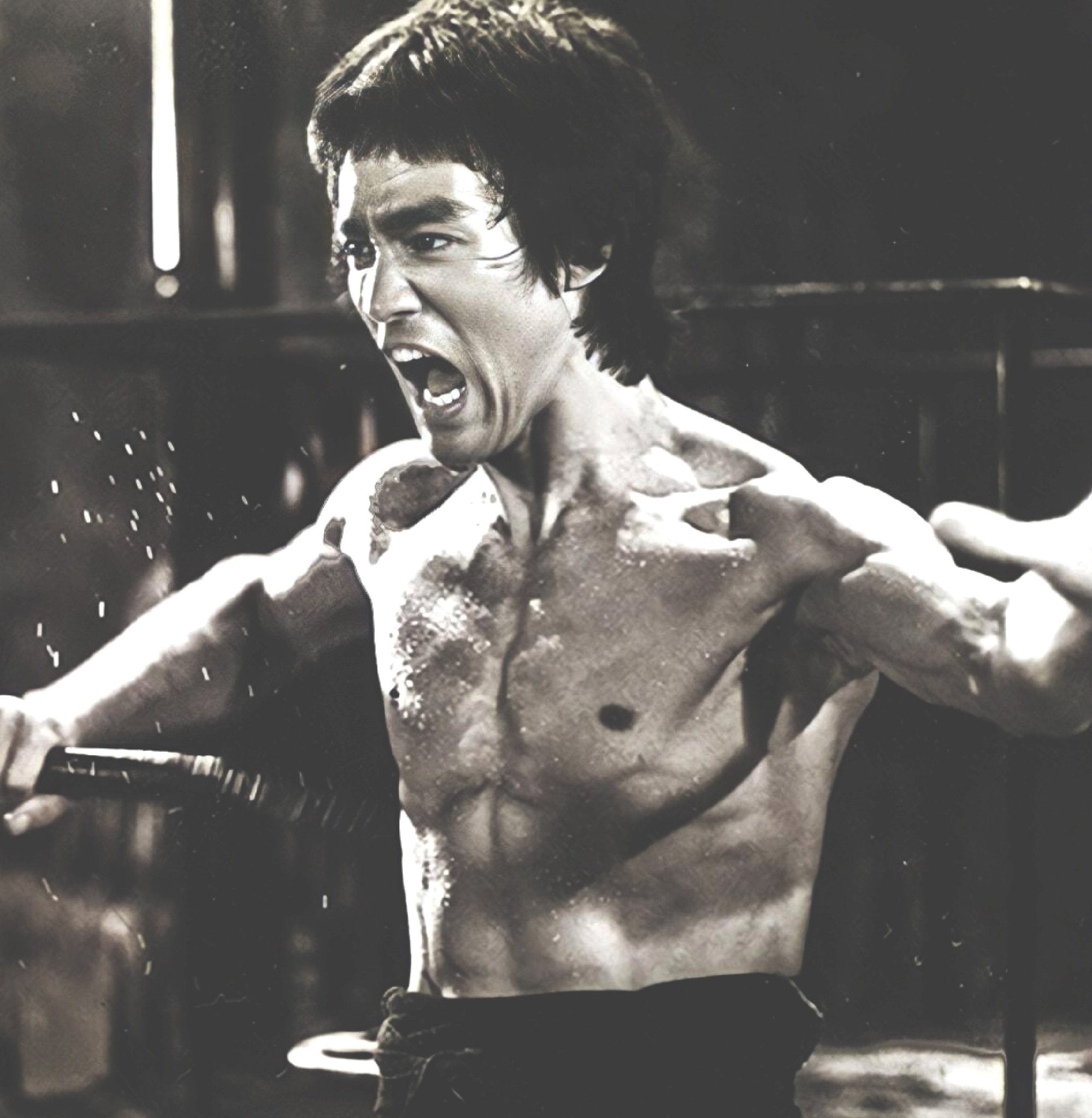 Martial Arts - Roots of Fight