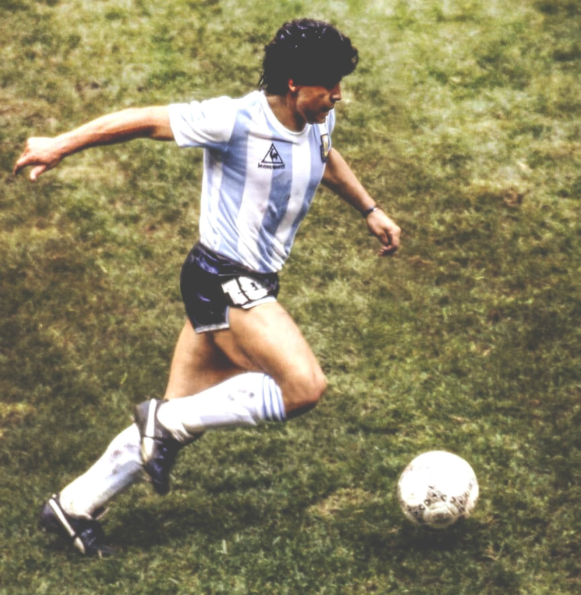 Soccer - Roots of Fight
