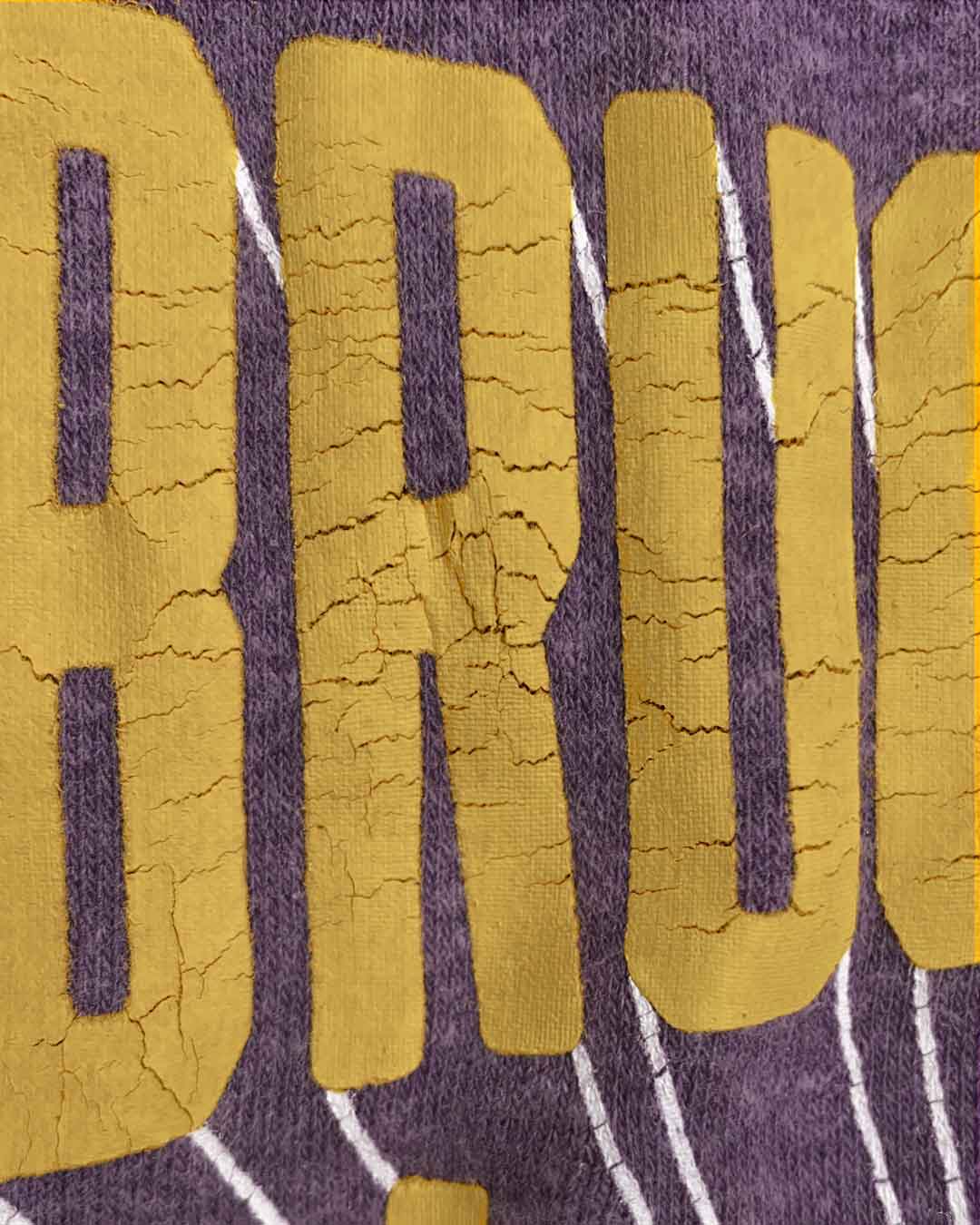 Bruce Lee Purple Shorts - Roots of Inc dba Roots of Fight